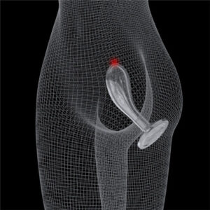Estimulador BootyBlast - Image 5